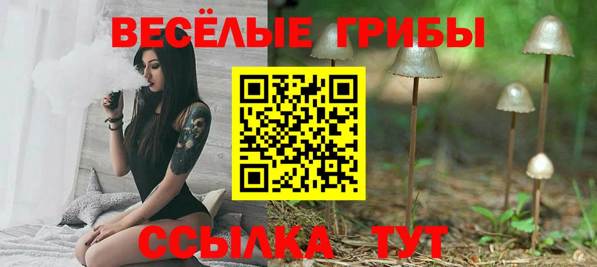 Псилоцибиновые грибы GOLDEN TEACHER  Псилоцибиновые грибы Cubensis  Мариинск  Вход с VPN 
